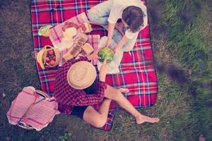 vista dall'alto delle coppie che si godono il picnic foto