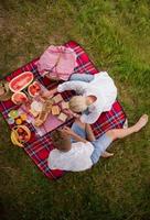 vista dall'alto delle coppie che si godono il picnic foto