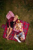 vista dall'alto delle coppie che si godono il picnic foto