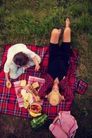 vista dall'alto delle coppie che si godono il picnic foto