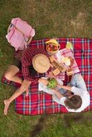 vista dall'alto delle coppie che si godono il picnic foto