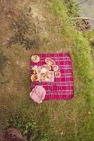 superiore Visualizza di picnic coperta ambientazione su il erba foto