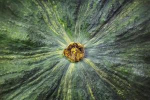 immagine ravvicinata di superficie di zucca verde estrema. foto