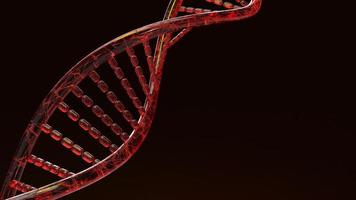 rendering 3d del dna rosso su sfondo nero per contenuti scientifici. foto