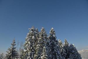 paesaggio montano invernale foto