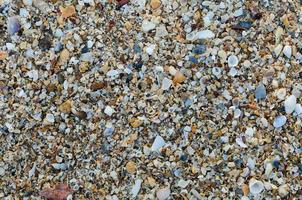 struttura di sabbia spiaggia foto