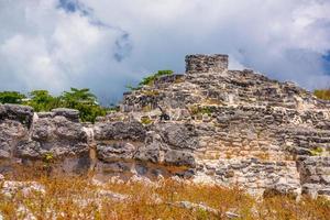 Iguana lucertola nelle antiche rovine di maya nella zona archeologica di el rey vicino a cancun, yukatan, messico foto