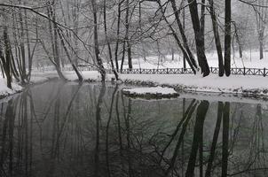 presto mattina a bellissimo inverno giorno foto