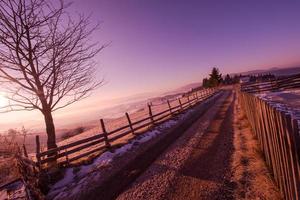 paesaggio invernale panoramico con albero solitario foto