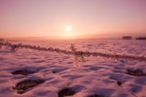 recinto di filo spinato in inverno foto