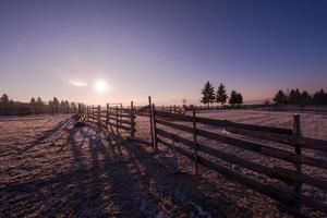 paesaggio invernale panoramico con albero solitario foto