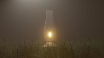 nebbia mattutina nella foresta - bellissimo paesaggio - disegno prato nella foresta tropicale foto