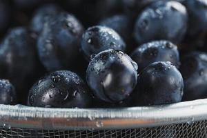 succoso frutta di nero maturo uva avvicinamento come struttura. foto