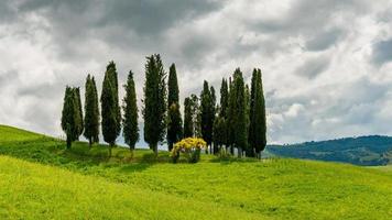 vista panoramica sulla campagna toscana foto