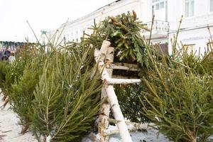 mercatino di natale con alberi di natale vivi sulla strada della città. vengono venduti l'umore del nuovo anno, la neve, gli abeti tagliati e le conifere, l'aroma di resina e aghi di pino. natale, capodanno. foto