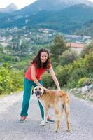 una donna cammina cane da pastore foto