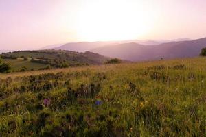 paesaggio natura estate foto