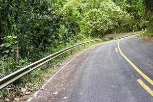 strada nel il foresta con sicurezza guardia foto