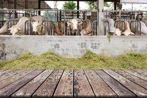 di legno tavolo con Manzo bestiame mucca bestiame nel azienda agricola sfondo foto