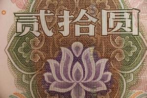 estremo del fiore nella banconota cinese di yuan foto