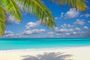 estate spiaggia sfondo palma alberi contro blu cielo bandiera panorama, tropicale viaggio destinazione. bianca sabbia, blu mare esotico paesaggio, sorprendente estate sfondo foto