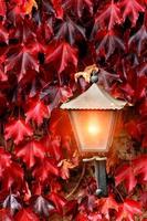 autunno le foglie parete con un' lanterna nel il mezzo. foto