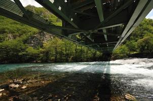 ponte sul fiume selvaggio foto