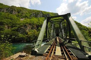 ponte sul fiume selvaggio foto