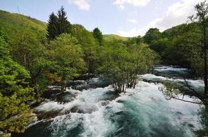 cascata di fiume selvaggia foto