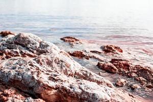 torrevieja rosa lago nel alicante, Spagna foto