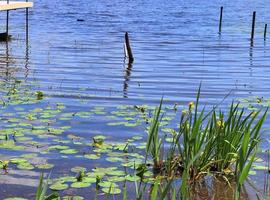 bellissimo paesaggio in un lago con una superficie d'acqua riflettente foto
