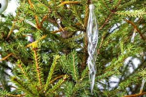 bicchiere ghiacciolo su naturale Natale albero avvicinamento foto
