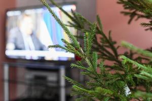 verde ramoscelli di vivere Natale albero e tv impostato foto