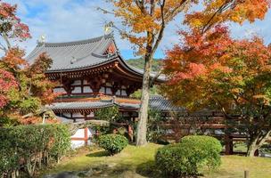 uji, Giappone - novembre 25, 2016 byodoin tempio è un' buddista tempio nel uji, kyoto prefettura, Giappone foto