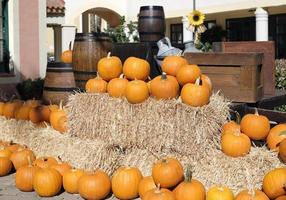 ringraziamento e Halloween - multiplo zucche su e in giro pile di fieno foto