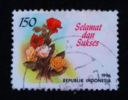 sidoarjo, jawa timor, Indonesia, 2022 - filatelia, rosa fiore tema francobollo collezione foto