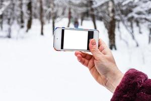 mano detiene Telefono con ritagliare schermo nel foresta foto