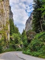 strada tortuosa tra ripide rocce della gola del trigrad nei rodopi occidentali, bulgaria. foto