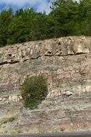 foresta e rocce foto