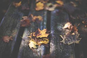 autunno le foglie caduto su un' tavolo nel il parco foto