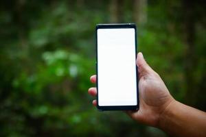 il uomo Tenere il Telefono nel il foresta, no onda. foto