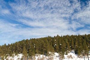 foresta e nuvole a partire dal abate, bolù, tacchino foto