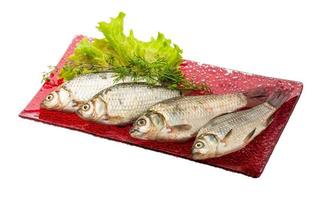 carassio pesce su il piatto e bianca sfondo foto