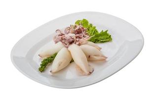 bollito calamaro su il piatto e bianca sfondo foto