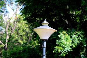 un' lampada inviare nel il giardino. foto