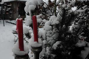 inverno tempo nel un' Tedesco giardino foto