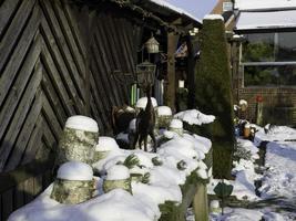 inverno tempo nel il giardino foto