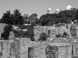 tunis nel Africa foto