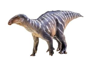 iguanodon dinosauro su bianca isolato sfondo ritaglio sentiero foto
