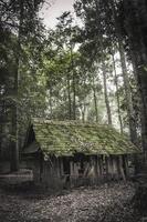vecchio di legno Villetta nel il foresta foto